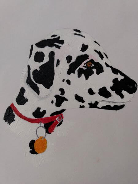 Acrylic painting of a Dalmation Dogs head and neck wearing a red collar with a gold tag