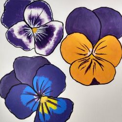 Watercolour painting of three purple pansies with white, yellow and blue highlights on them