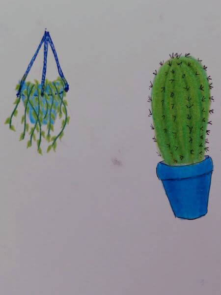 Pair of potted plants in blue pots one an upright cacti the other hanging above containing a trailing plant