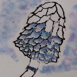 A lino print in black of a Shaggy Inkcap Mushroom painted in shades of blue watercolours with a painted background in the same colours